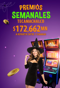 Embruja tu suerte