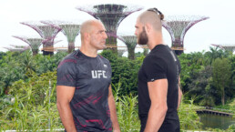 Teixeira vs Prochazka en el UFC 275