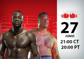 Deontay Wilder vs Tyrell Herndon