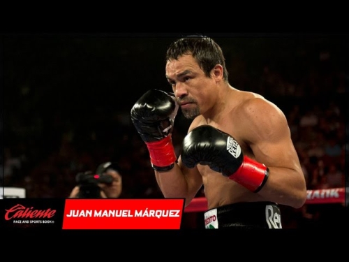 Juan Manuel 'Dinamita' Márquez, una apuesta segura del boxeo