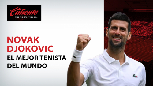 Novak Djokovic: El mejor tenista del mundo