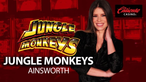 JUNGLE MONKEYS