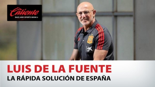 Luis de la Fuente La rápida solución de España