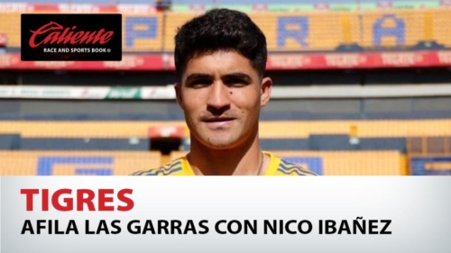Tigres afila las garras con Nico Ibañez