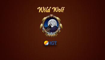 WILD WOLF