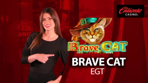 BRAVE CAT 